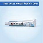 ⁦Twin Lotos Herbal Fresh Cool Toothpaste 100 gr⁩ - الصورة ⁦3⁩