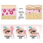 ⁦Donut Collagen Peptide 4500 mg⁩ - الصورة ⁦2⁩