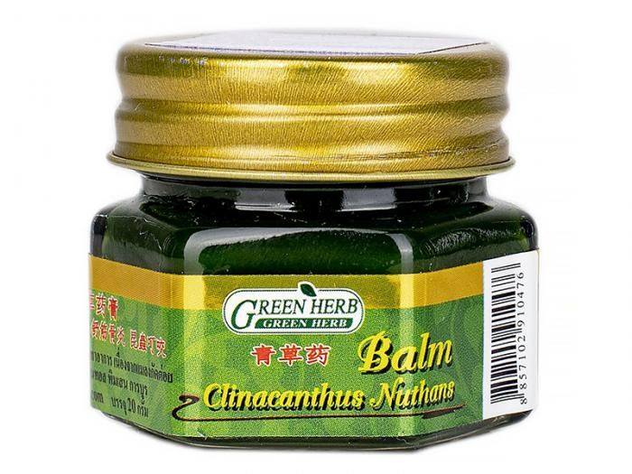 27e2ms1ybtelytny9lfe2nxhxn0rslfo Green Herb Citronella Clinacanthus Balm - الصورة 1