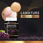⁦Lanature Grape Seed Extract 30 caps⁩ - الصورة ⁦6⁩