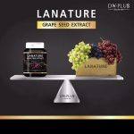 ⁦Lanature Grape Seed Extract 30 caps⁩ - الصورة ⁦3⁩