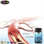 ⁦Auswelllife Pure Squalene⁩ - الصورة ⁦3⁩