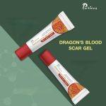 ⁦Puricas Dragon’s Blood Scar Gel 8 gr⁩ - الصورة ⁦4⁩