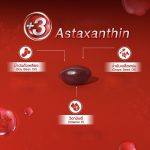 ⁦مستخلص الطحالب الحمراء Bomi Asta Concentrate 6 mg⁩ - الصورة ⁦6⁩