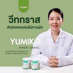 ⁦عشبة القمح Yumiko Wheat Grass⁩ - الصورة ⁦3⁩