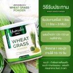 ⁦عشبة القمح Yumiko Wheat Grass⁩ - الصورة ⁦5⁩