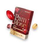 ⁦Mafinze Lady Prim Rose Plus⁩ - الصورة ⁦4⁩