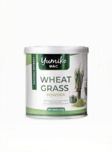 عشبة القمح Yumiko Wheat Grass