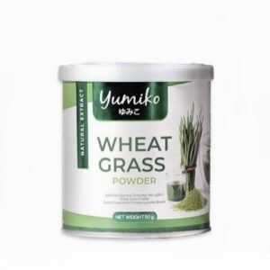 عشبة القمح Yumiko Wheat Grass