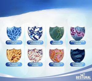 ⁦Bestural Probiotect 8+⁩ - الصورة ⁦2⁩