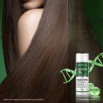 ⁦Gravich Bio Keratin Concentrate Hair Shampoo 250 ml⁩ - الصورة ⁦2⁩