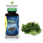 ⁦كبسولات عشب البحر لإنقاص الوزن Herbal One Kelp⁩ - الصورة ⁦3⁩