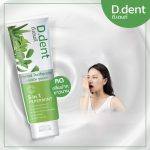 ⁦2x D.Dent Herbal Toothpaste Peppermint Formula 100 gr⁩ - الصورة ⁦3⁩