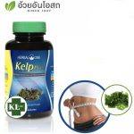 ⁦كبسولات عشب البحر لإنقاص الوزن Herbal One Kelp⁩ - الصورة ⁦4⁩