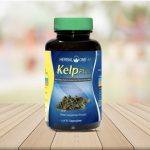 ⁦كبسولات عشب البحر لإنقاص الوزن Herbal One Kelp⁩ - الصورة ⁦2⁩