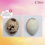 ⁦Citra Bright Booster Vit C Hya Brightening Skin 100 ml⁩ - الصورة ⁦3⁩