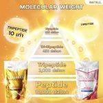 ⁦MATELL Collagen Dipeptide plus Rice Ceramide⁩ - الصورة ⁦4⁩