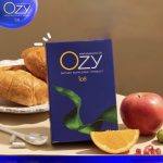 ⁦Ozy by Ning Panita Dietary Supplement 10 gélules⁩ - الصورة ⁦3⁩