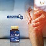 ⁦Donutt Collagen Type 2 LIVNEST 30 caps⁩ - الصورة ⁦3⁩