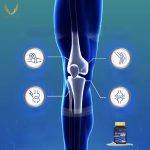 ⁦Donutt Collagen Type 2 LIVNEST 30 caps⁩ - الصورة ⁦2⁩