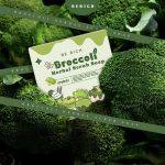 ⁦Berich Broccoli Scrub Soap⁩ - الصورة ⁦4⁩