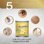 ⁦NAKATA Collagen⁩ - الصورة ⁦3⁩