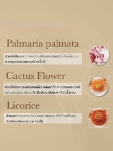 ⁦EVE'S  Pro Radiance Brightening Cream Gel 20 gr⁩ - الصورة ⁦5⁩