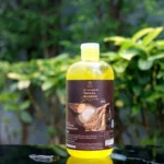 ⁦BY THE Secret Tanaka Ginseng Serum 500 ml⁩ - الصورة ⁦5⁩