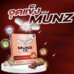 ⁦Munz X3⁩ - الصورة ⁦4⁩