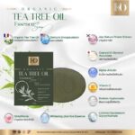 ⁦Organic Tea Tree Soap Ko Rich 60 gr⁩ - الصورة ⁦4⁩
