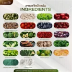 ⁦Jamsai Green Coffee Bean⁩ - الصورة ⁦4⁩