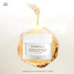 ⁦Yerpall Intensive Ginseng Hya Vitamin Night Cream 10 gr⁩ - الصورة ⁦4⁩