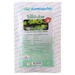 مسحوق علاجي عضوي Ginkgo Biloba