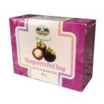 ⁦Abhaiherb Mangosteen Peel Soap 100 g⁩ - الصورة ⁦2⁩